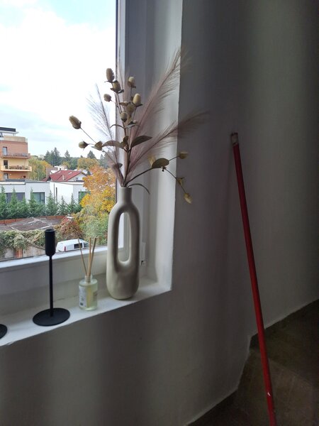 Erou Iancu Nicolae, Zoo