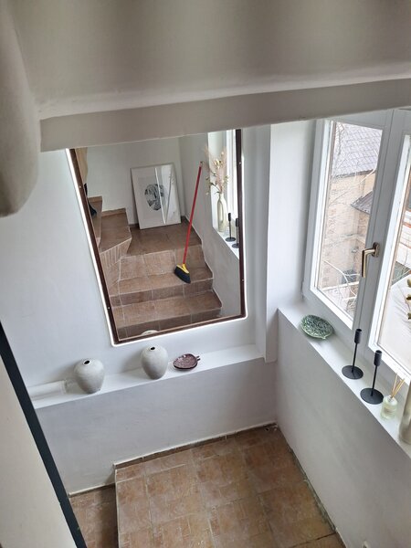 Erou Iancu Nicolae, Zoo